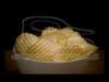 chips09_small.jpg