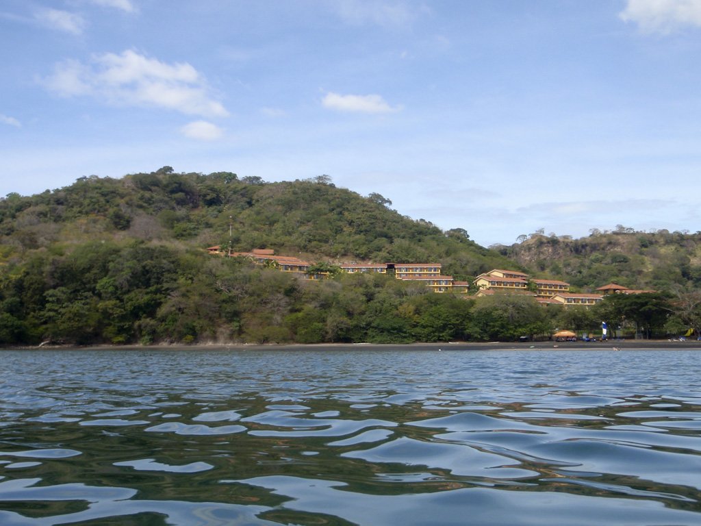 allegropapagayo.jpg