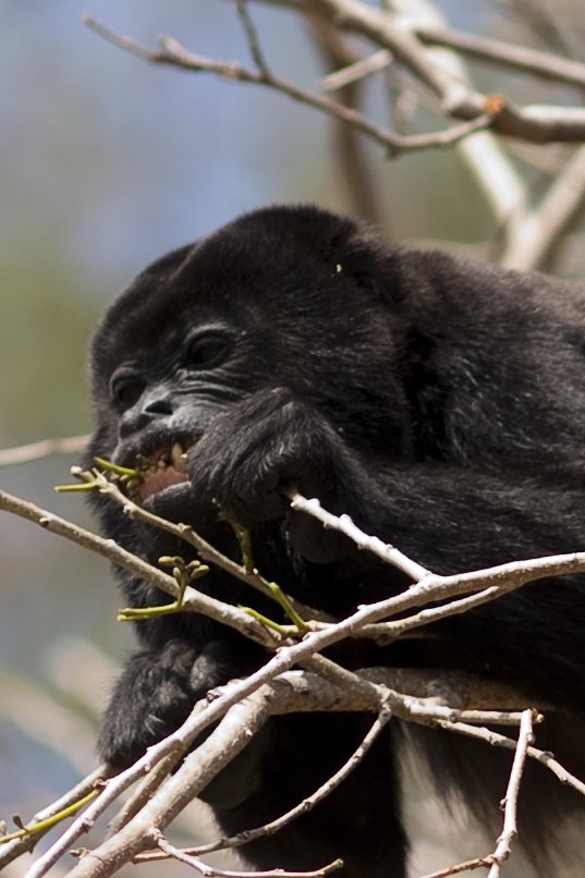 costarica104.jpg