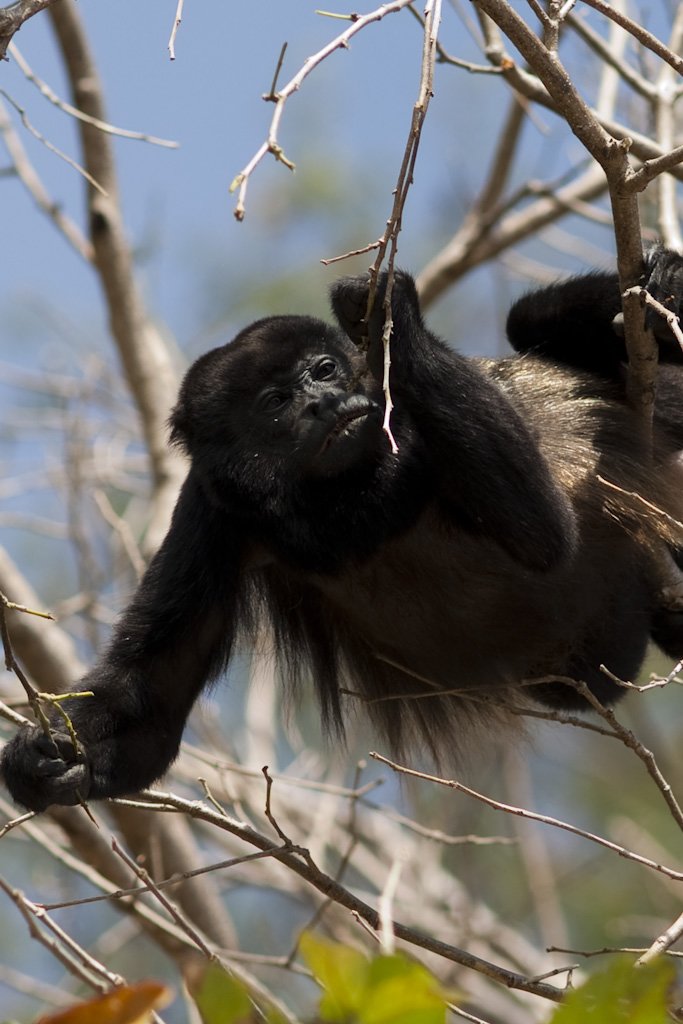 costarica106.jpg