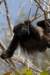 costarica106_small.jpg