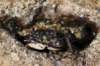 costarica112_small.jpg