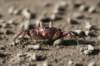 costarica113_small.jpg