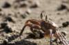 costarica114_small.jpg