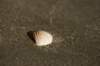 costarica116_small.jpg