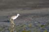 costarica119_small.jpg