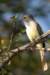 costarica129_small.jpg