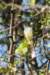 costarica131_small.jpg