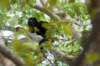 costarica145_small.jpg