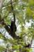 costarica148_small.jpg