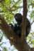 costarica149_small.jpg