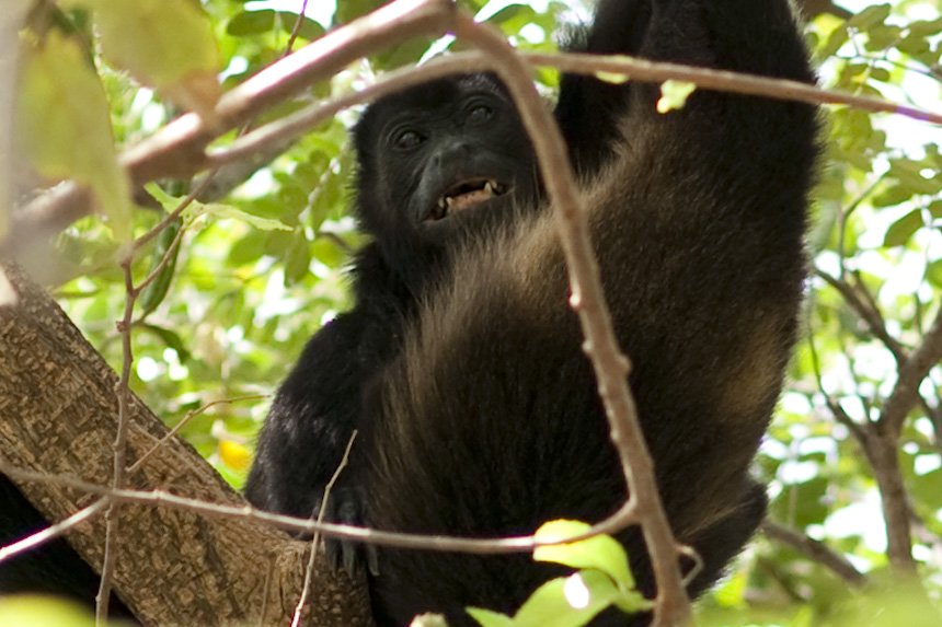 costarica152.jpg