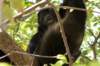 costarica152_small.jpg
