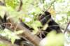 costarica153_small.jpg
