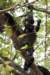 costarica156_small.jpg
