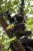 costarica157_small.jpg