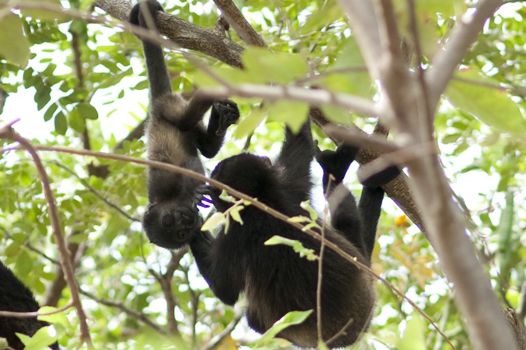 hanginaround.jpg