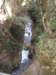 inthecanyon_small.jpg