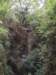 theclimbfromacrossazipline_small.jpg
