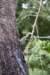 woodpecker_small.jpg