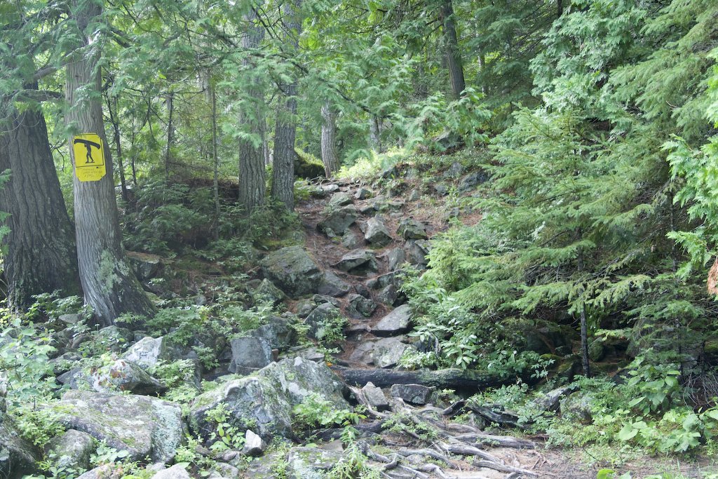 anotherportage.jpg