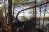 cross_algonquin_200820_small.jpg