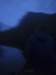 nightpaddle_small.jpg