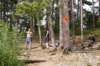 ourislandsiteontraverslake_small.jpg