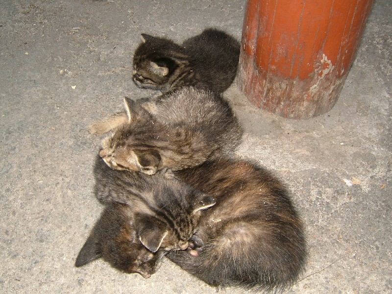 Photograph