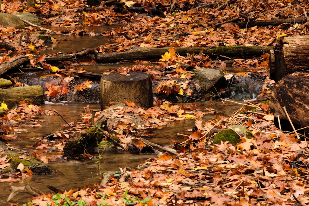 anothersmallwaterfall.jpg