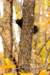 anothersquirrel_small.jpg
