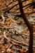 fall016_small.jpg