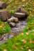 fall030_small.jpg