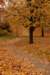 followingthepath_small.jpg