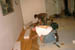 Pict009