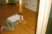 Pict020