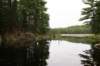 thebeaverpond_small.jpg