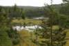 thelookoutoverthebeaverpond_small.jpg