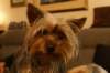 maggie2_small.jpg