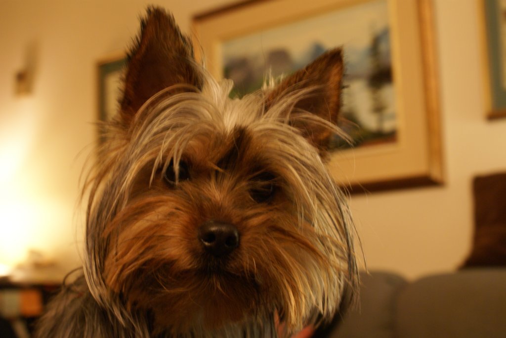 maggie3.jpg