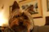 maggie3_small.jpg