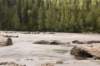 coalrapids_small.jpg