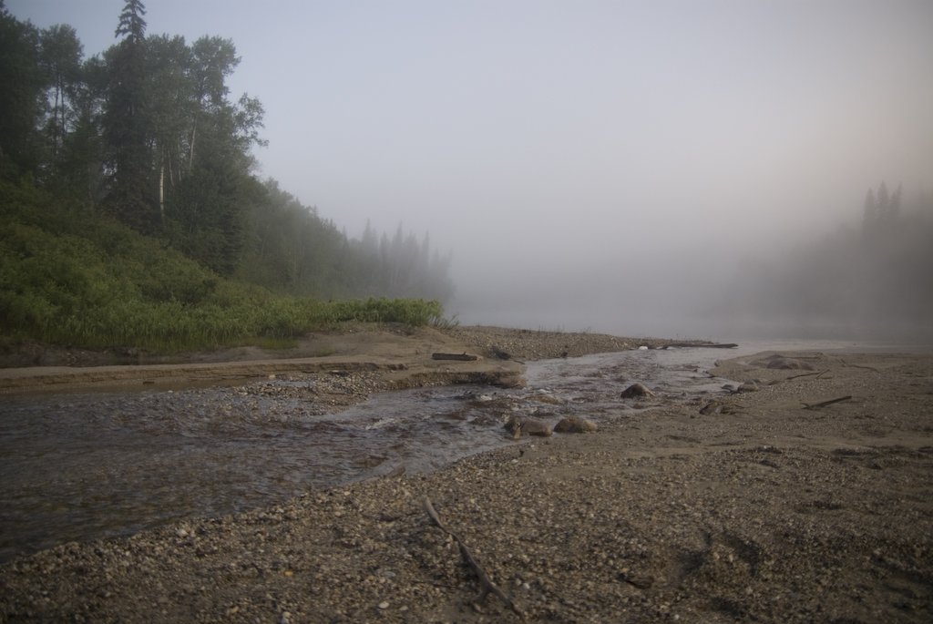 northofcoalriver.jpg