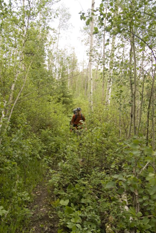 portage.jpg