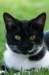 mitzy2_small.jpg