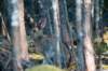 rabbit_river13_small.jpg