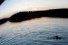 rabbit_river35_small.jpg