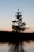 rabbit_river45_small.jpg