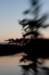 rabbit_river46_small.jpg