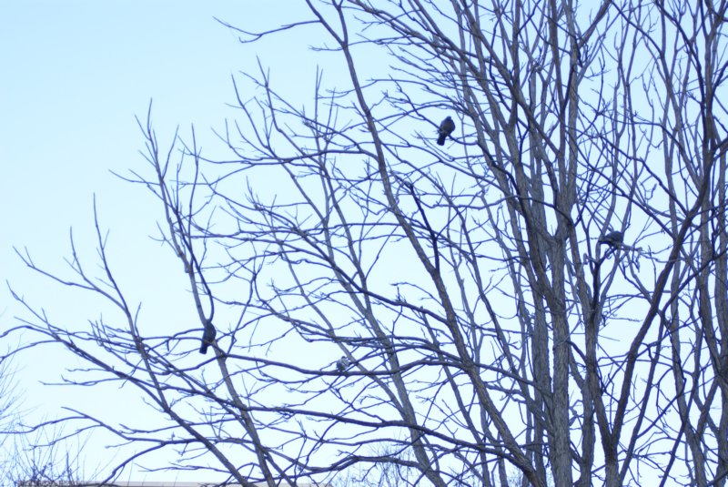 theruleofthirds3.jpg
